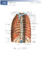 Sobotta  Atlas of Human Anatomy  Trunk, Viscera,Lower Limb Volume2 2006, page 123